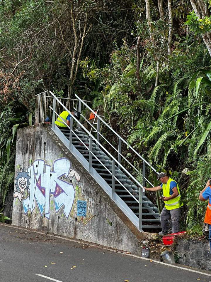 Remplacement d’un escalier Saint-Paul